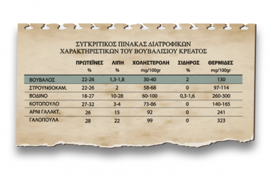 Τι είναι το βουβαλίσιο κρέας και πια τα οφέλη του